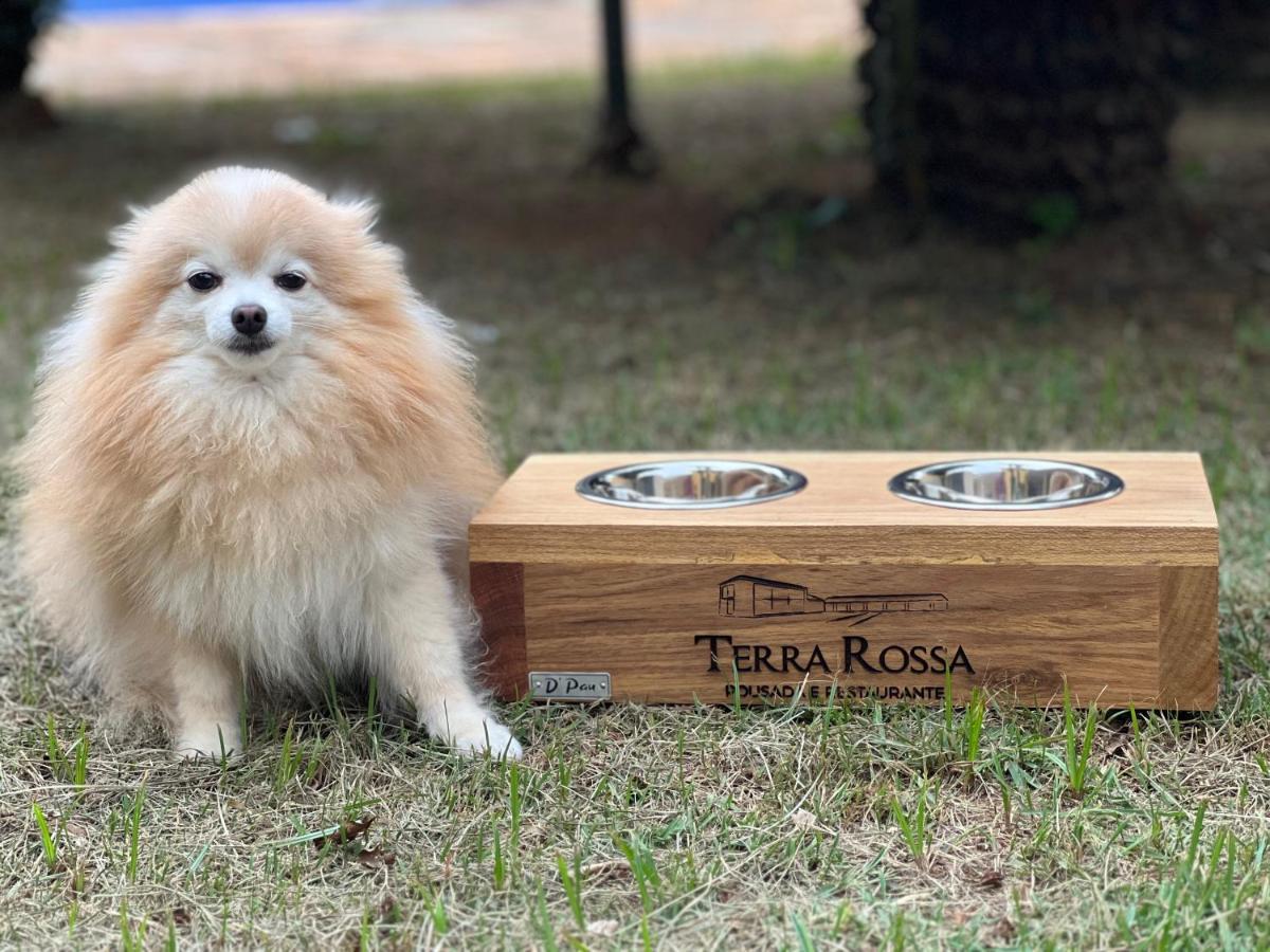 Pousada E Restaurante Terra Rossa サン・ジョゼー・ド・リオ・パルド エクステリア 写真